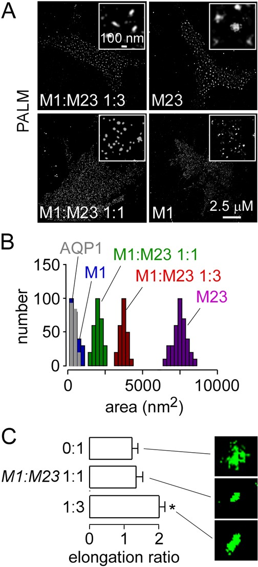 Fig. 3.