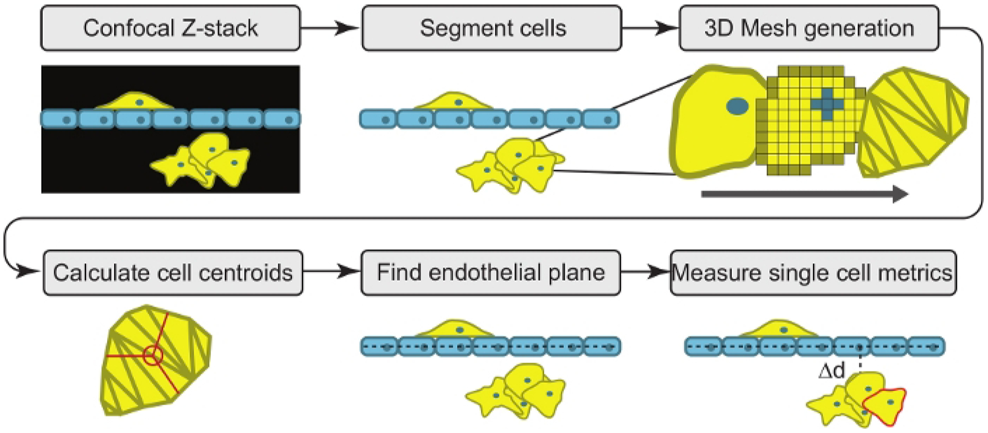 Figure 2: