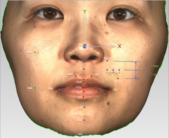 Fig. 3
