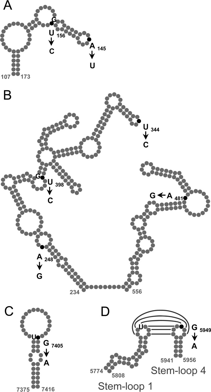 FIG 1