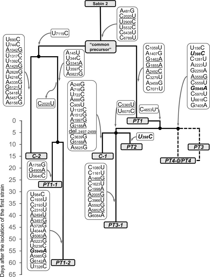 FIG 2