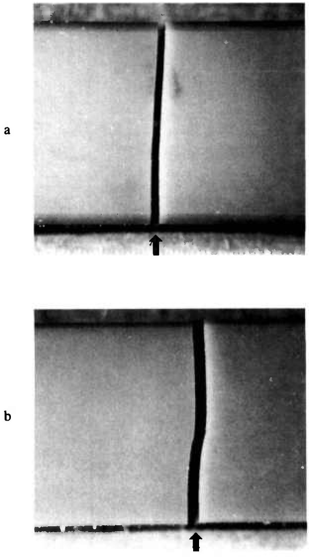 Fig. 13