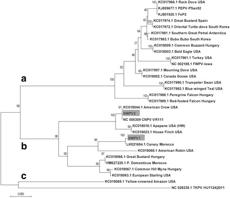 Fig. 4