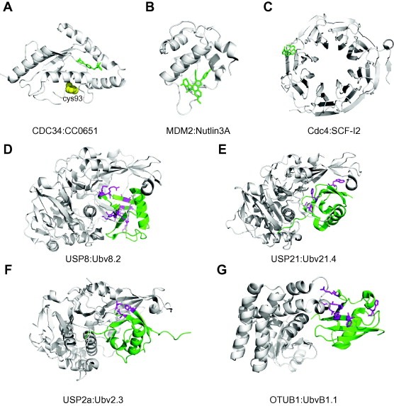 figure image