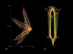 Fig. 2