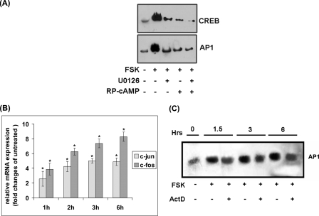 FIGURE 5.