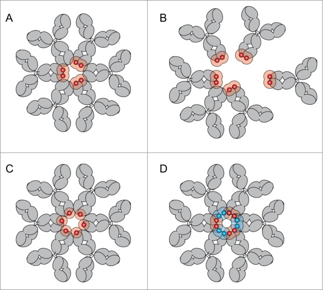 Figure 6.