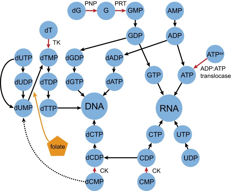 Fig. 2.