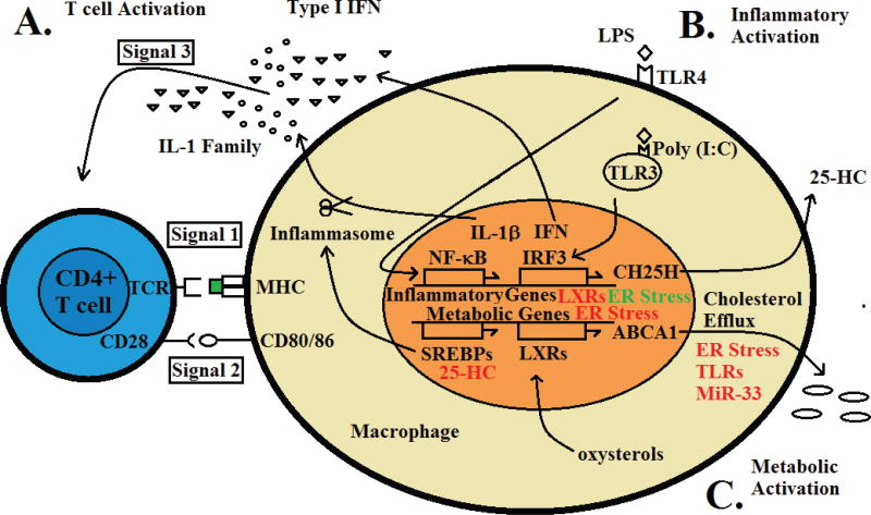 FIG. 1