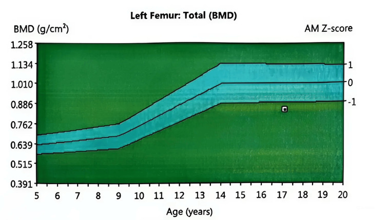 Figure 6