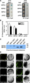 Figure 3.