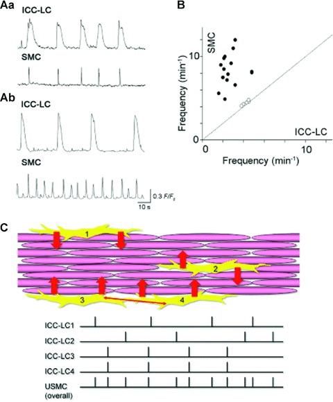 Fig 3