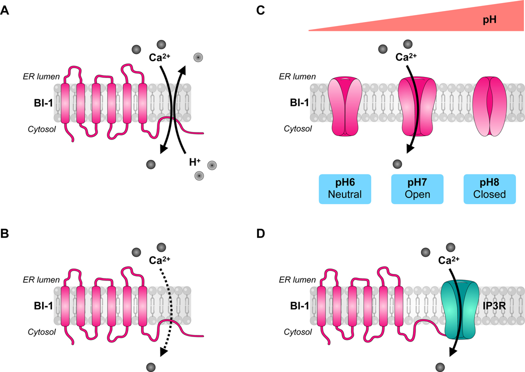 Figure 3: