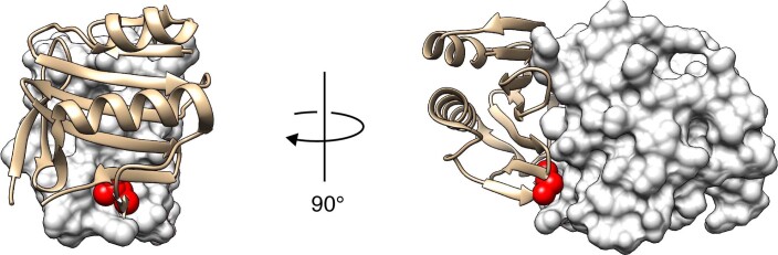 Extended Data Fig. 3