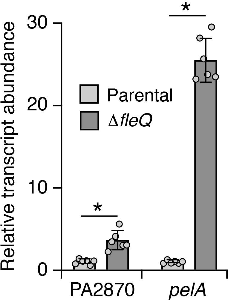 Extended Data Fig. 4