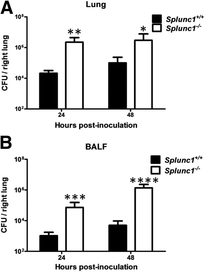 Figure 6