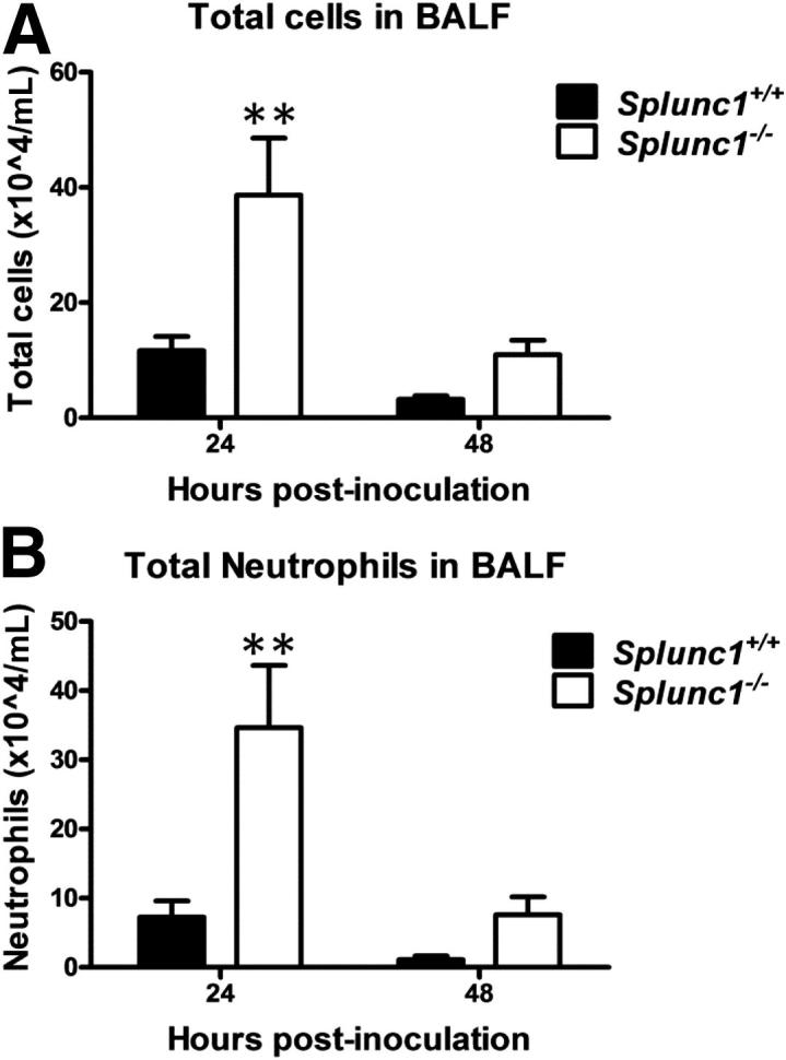 Figure 7