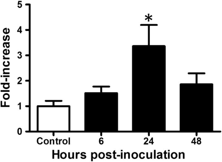 Figure 5