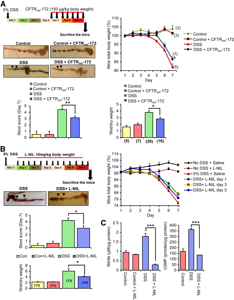 Figure 6