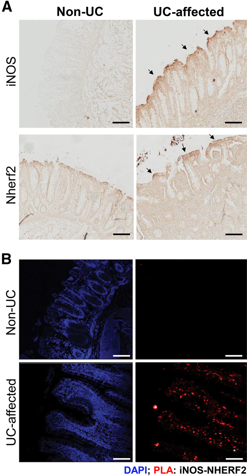 Figure 3