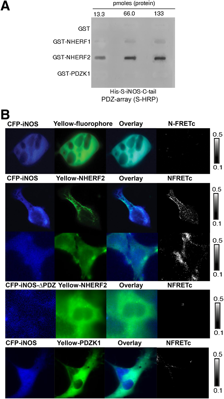 Figure 2