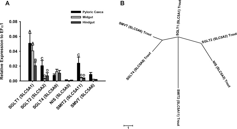 Fig. 6.