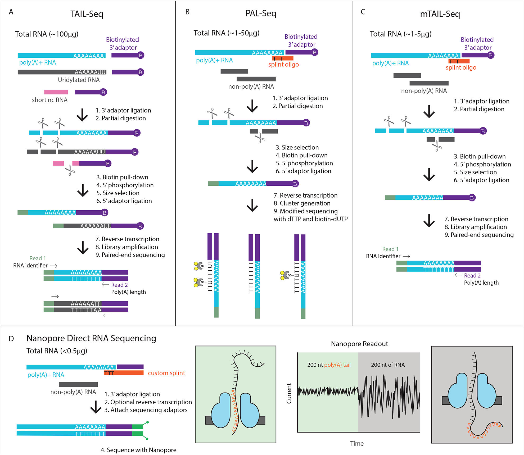 Figure 1: