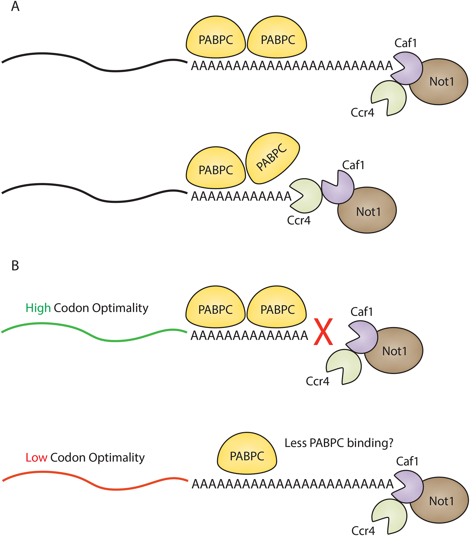 Figure 3: