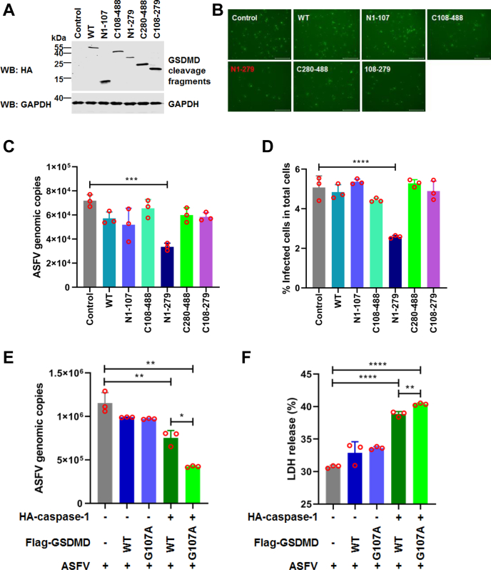 Figure 6