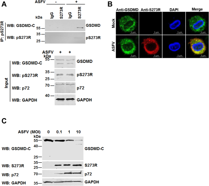 Figure 2