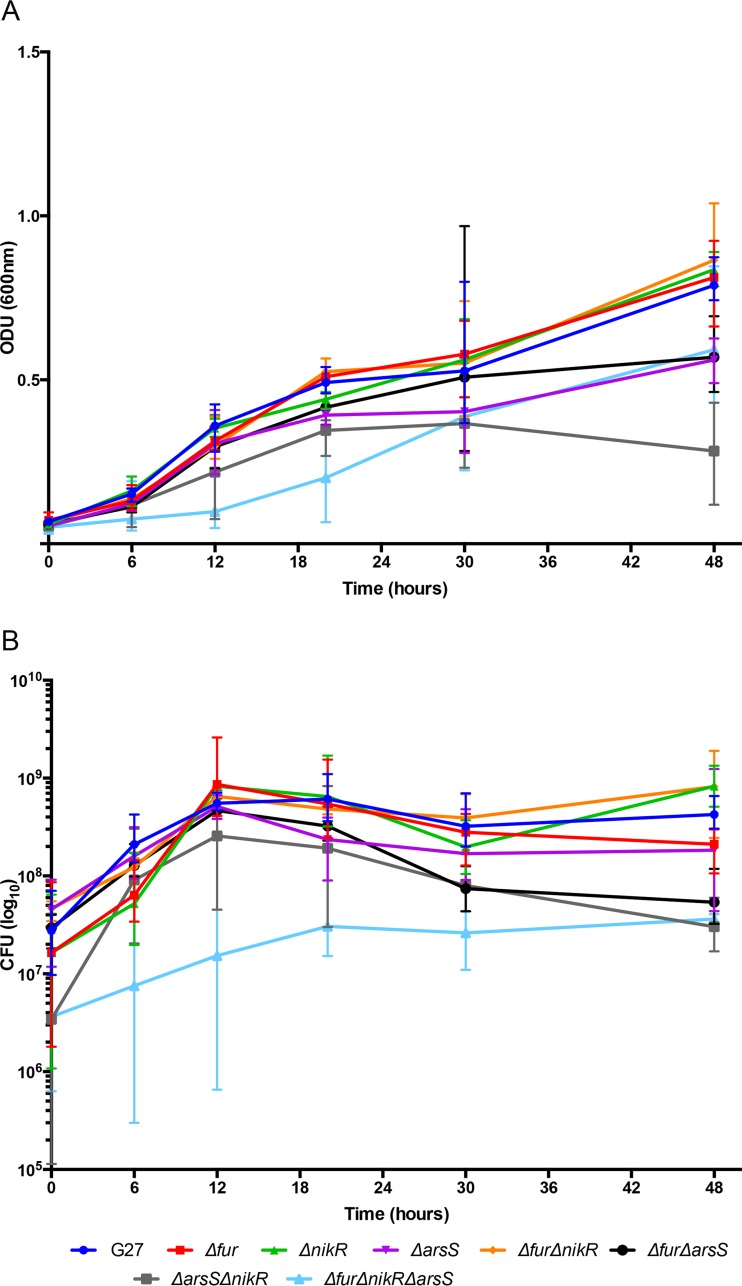 FIG 1