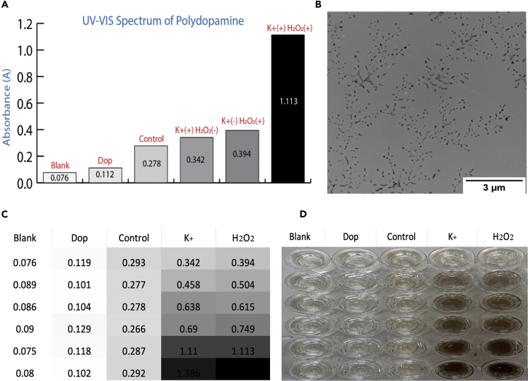 Figure 1