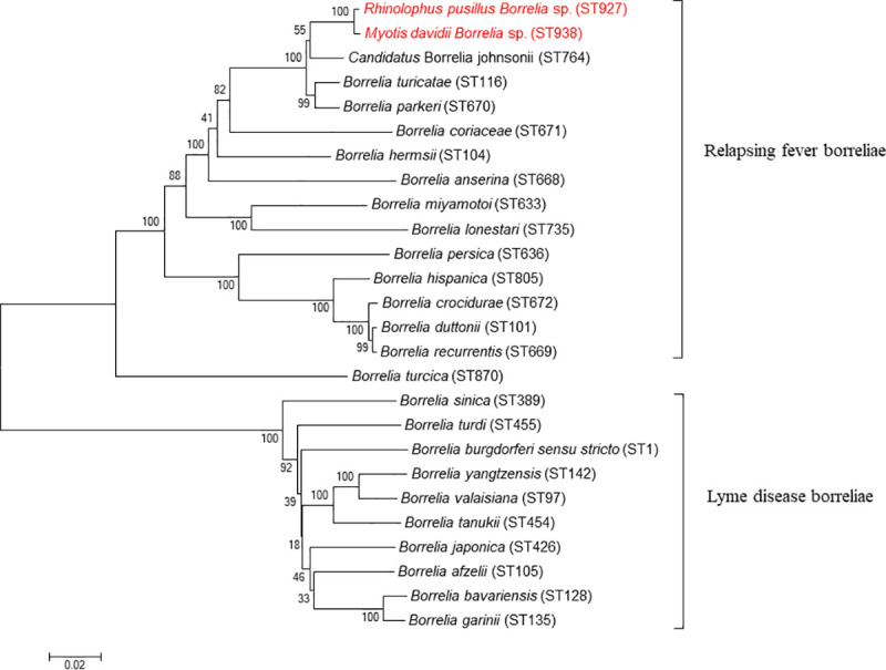 Fig 3