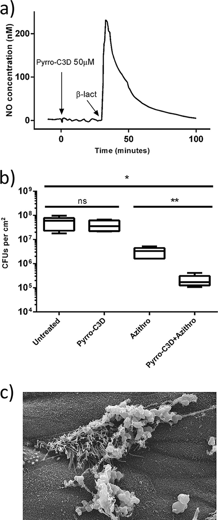 FIG 7