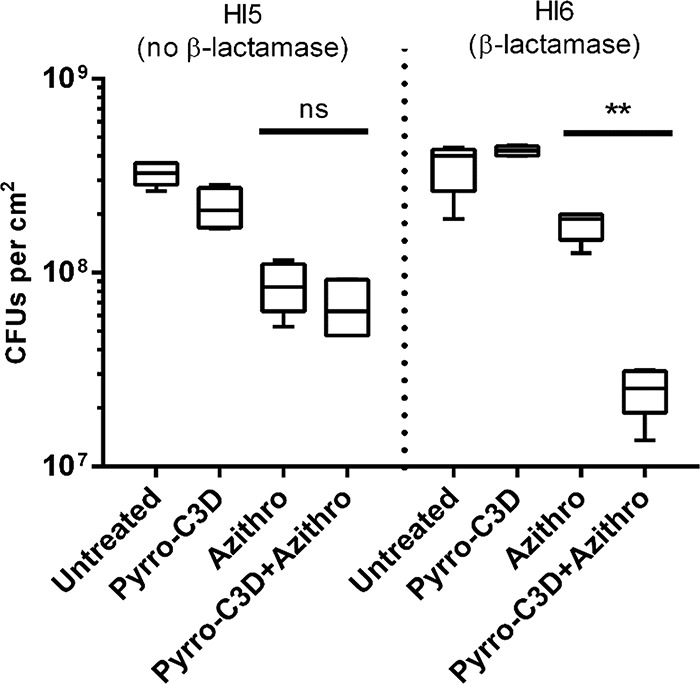 FIG 6