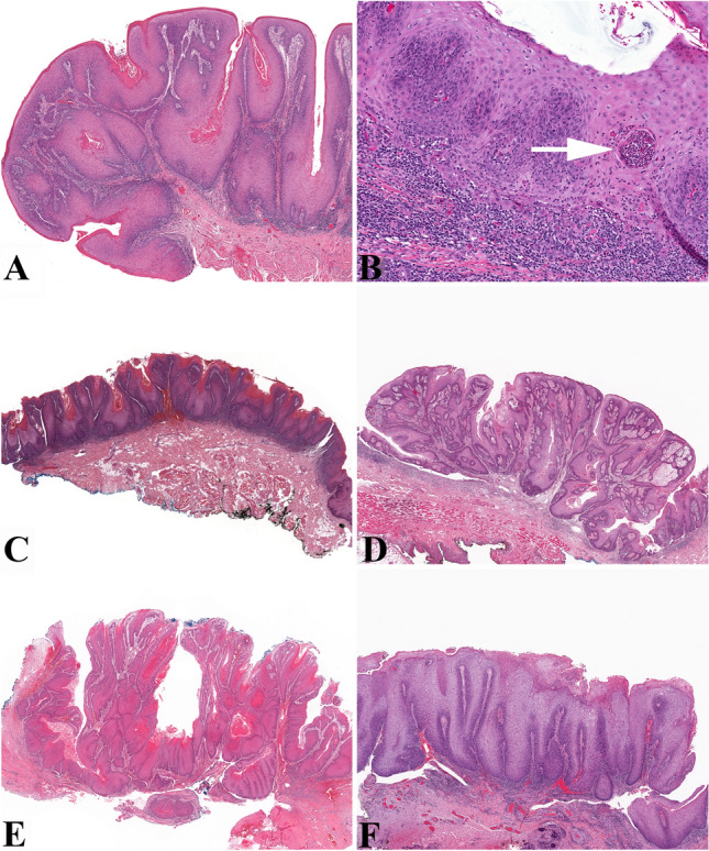 Fig. 6