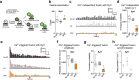 Extended Data Fig. 4