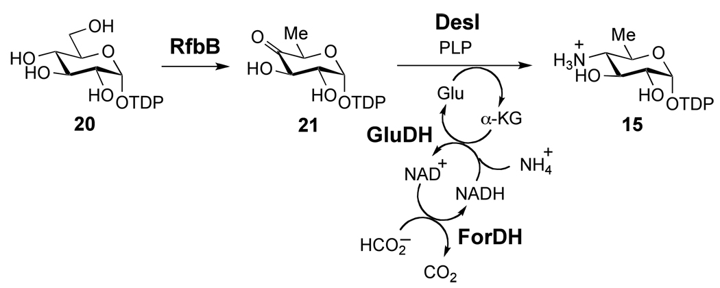 Scheme 4