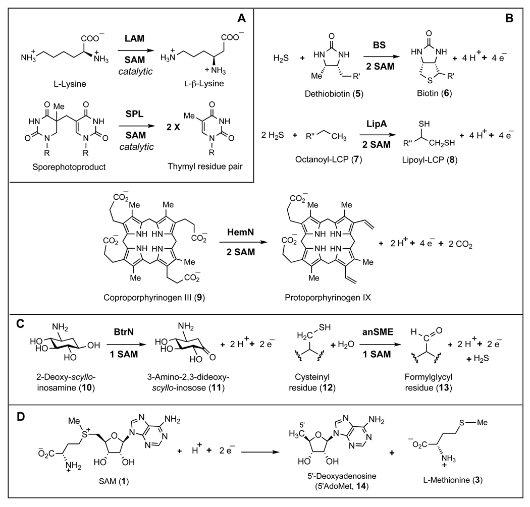 Scheme 2