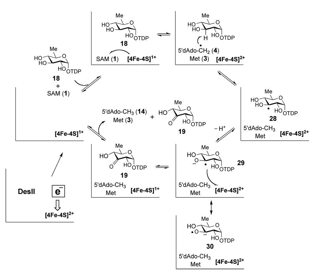 Scheme 7