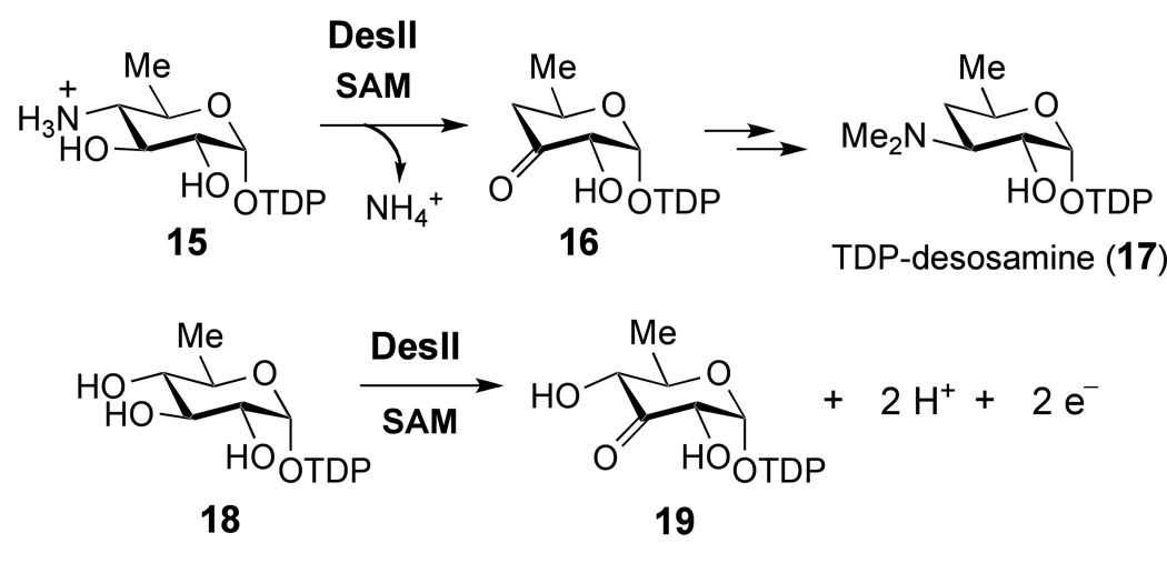 Scheme 3