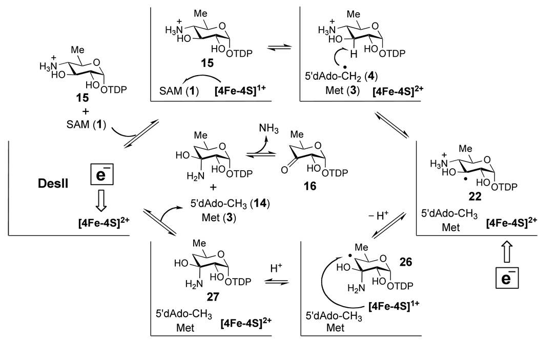 Scheme 6