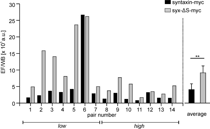 Figure 6—figure supplement 1.