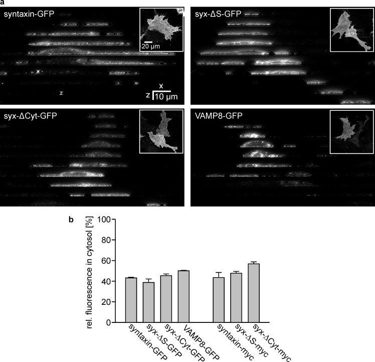 Figure 2—figure supplement 1.