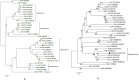 Fig 7