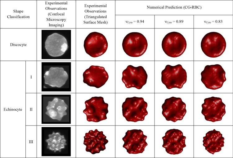 Fig 10