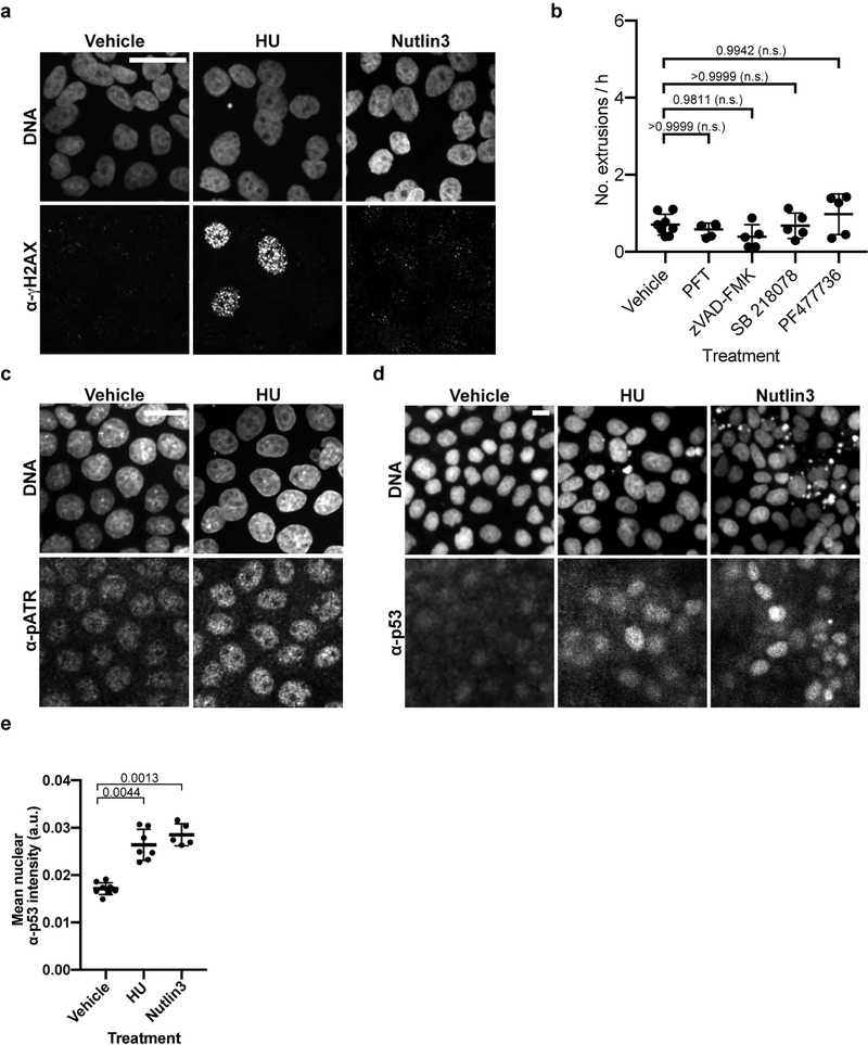 Extended Data Figure 6