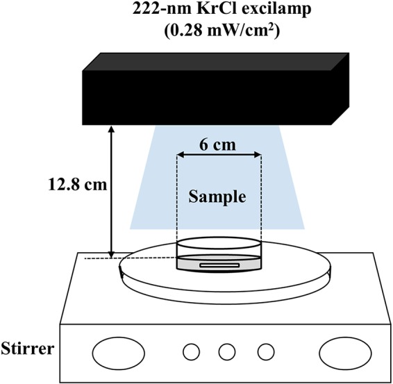 FIG 1