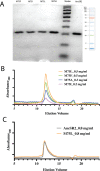 Figure 1—figure supplement 1.