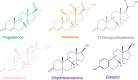 Figure 2—figure supplement 1.